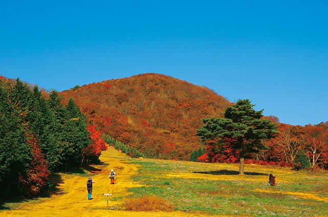 鳥取県の山　花見山