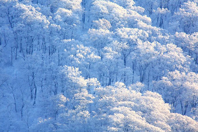 山の日記念全国大会in鳥取　冬の大山